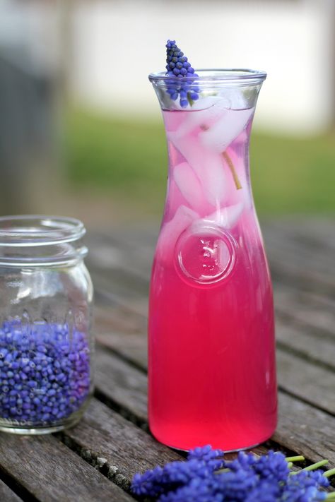 grape hyacinth lemonade. need to make this! Edible Flowers Recipes, Grape Hyacinth, Coconut Bowls, Foraging Recipes, Smelling Flowers, Foraged Food, Lemonade Recipes, The Suburbs, My Idea