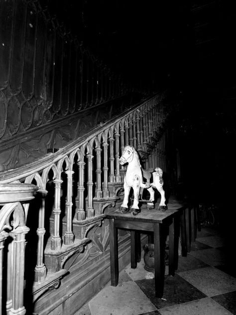 Charleville Castle -  These haunted castles in Ireland are among some of the scariest haunted places you can ever dare to visit. Sleep in haunted castle hotels, or just explore the ruins of haunted castles. Either way, you'll be spooked out no doubt at these places in Ireland. Haunted Castles, Castles In Ireland, Haunted History, Spooky Places, Haunted Castle, Haunted Hotel, Most Haunted Places, The Boogeyman, Abandoned Mansions