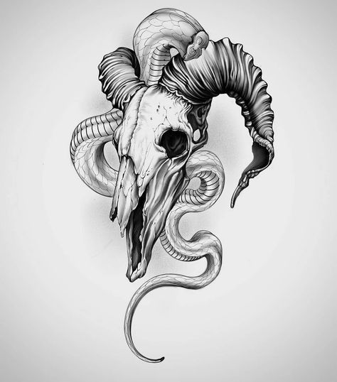 Ram Skull Sketch, Aries Skull, Goat Skull Tattoo, Animal Skull Tattoo, Tattoos Spiritual, Buffalo Tattoo, Dove Tattoo Design, Neo Tattoo, Skull With Horns