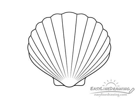 How to Draw Shells Step by Step - EasyLineDrawing Scallop Drawing, Draw Seashells, Summer Drawing Ideas, Types Of Seashells, Seashell Drawing, Spiral Drawing, Laser Engraved Earrings, Shell Drawing, Shell Tattoos