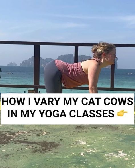 Kate Brandon - Physio - Yoga Teacher - Rehab & Yoga Educator on Instagram: "🤔 What other cat cow variations have you got ??? Would love to know any more go tos you have ?

👉 Moving the body in different ways gives more sensory input to the brain - this can help the brain make better decisions - so you move better!

👉Sign up to my mailing list for monthly Physio-Yoga advice and education for all movement geeks or those keen to understand their body and move and age better! Plus freebies and discounts on my online courses (scroll down to the bottom of my website, link in bio). 

#movementvariability #physioyoga #accessibleyoga #yogaforallbodies #movementgeek #yogageek #yoganerd #movebetter #physioyogi #movemore #physiotips #physiostudent #yogatherapist #yogatherapie #strengthtraining #fee Cat Cow Yoga Pose Variations, Cat Cow Yoga Pose, Cat Cow, Sensory Input, Yoga For All, Education For All, Aging Well, Mailing List, Website Link