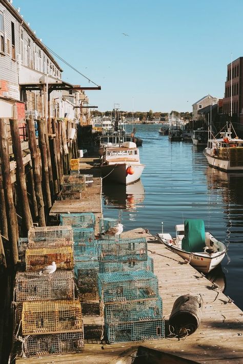 Places to stay in midcoast Maine for you and your wedding guests | Photo by  Matt McNulty  on  Unsplash Day Trips From Boston, Wedding Guests Photos, Byron Bay Beach, Beach Apartments, Visit Maine, Maine Vacation, Maine Travel, Maine Wedding, Portland Maine