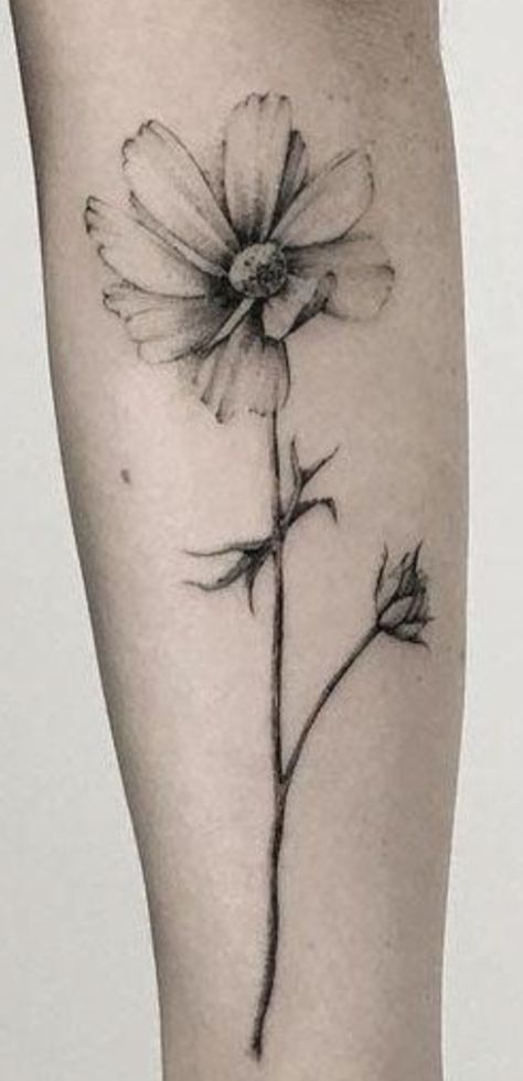 Cosmos Tattoo, Floral Tattoo Sleeve, Cosmos Flowers, Flower Tattoos, Body Art Tattoos, Sleeve Tattoos, Cosmos, Flower Tattoo, Art Tattoo