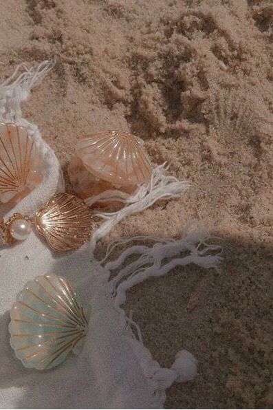 ♥︎∘✧𝑝𝑖𝑛𝑡𝑒𝑟𝑒𝑠𝑡⇢𝘣𝘳𝘪𝘴𝘩𝘢𝘢𝘢✧∘♥︎ #beach #seashells #aesthetic #shells Beach Sand, The Sand, The Beach, Shells, White