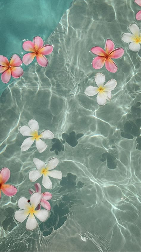 Summer Hibiscus Wallpaper, Ocean Aesthetic Wallpaper Ipad, Vintage Summer Aesthetic Wallpaper, Tapeta Aesthetic, Beachy Iphone Wallpaper, Pink Flowers In Water, Flowers In Water Aesthetic Wallpaper, Hibiscus Wallpaper Iphone, Ipad Summer Wallpaper