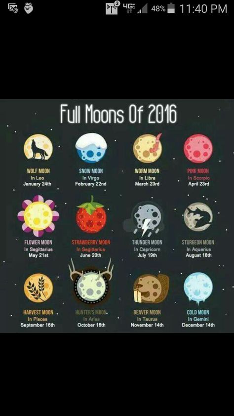 Full Moon Names, Name Astrology, Thunder Moon, Sturgeon Moon, Moon Names, Numerology Calculation, Moon In Leo, Strawberry Moons, Numerology Chart