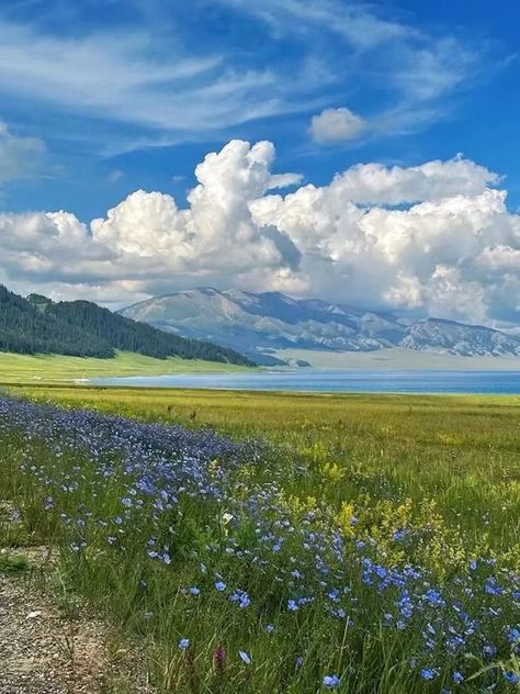 Freedom Aesthetic Art, Rural Aesthetic, Nature Scape, Xinjiang China, Water Landscape, Field Landscape, Landscape Inspiration, Seni Dan Kraf, Country Landscape