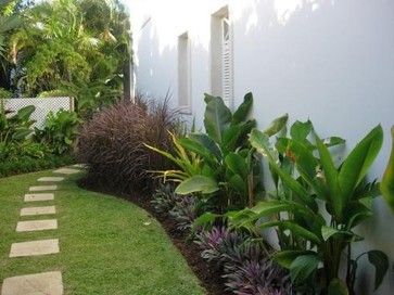 only not up against the house, the fence only. Side Yard Design Ideas, Pictures, Remodel, and Decor - page 4 Small Tropical Gardens, Tropical Landscape Design, Florida Landscaping, Side Yard Landscaping, Tropical Backyard, Backyard Garden Landscape, Small Backyard Gardens, Backyard Pool Landscaping, Fence Landscaping