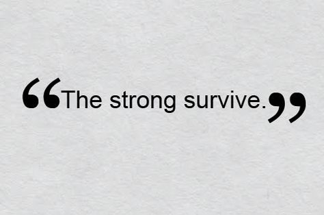 Red Sox' Season Now Survival of the Fittest as Youngsters and Prospects Experience Growing Pains Valentine Quote, Yule Cat, Survival Of The Fittest, Survival Project, Valentine Words, Survival Skills Life Hacks, Growing Pains, Survival Shelter, Modern Fantasy