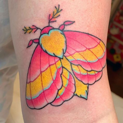 ✩Kassidy Autumn✩’s Instagram profile post: “Got to tattoo this little rosy maple moth yesterday 💖 #tattoo#mothtattoo#rosymaplemoth #colortattoo#kawaii#kawaiitattoo#cincinnati” Colorful Moth Tattoo, Maple Moth Tattoo, Rosy Maple Moth Tattoo, Yesterday Tattoo, Spooky Flash, Moth Tattoos, Maple Moth, Rosy Posy, Rosy Maple Moth