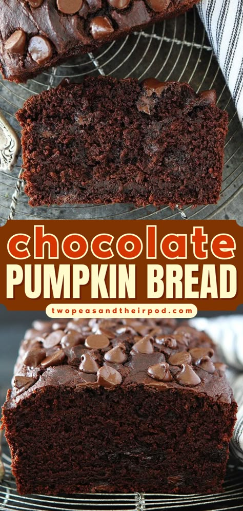 Looking for a baked pumpkin recipe? This Chocolate Pumpkin Bread is rich and chocolaty with a hint of pumpkin and spices. Add this homemade bread to your easy Fall recipes! Chocolate Pumpkin Bread, Bread Pumpkin, Recipe For Fall, Quick Bread Recipe, Chocolate Pumpkin, Pumpkin Bread Recipe, Pumpkin Thanksgiving, Everything Pumpkin, Quick Bread Recipes