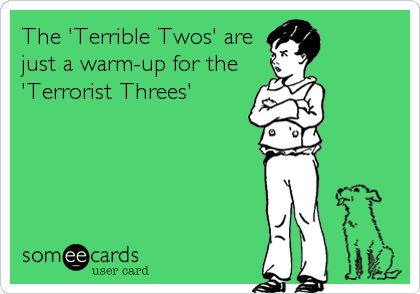 The 'Terrible Twos' are just a warm-up for the 'Terrorist Threes'...(currently being experienced in my home...ugh!) Ugly Heart, Collateral Beauty, The Dictator, Terrible Twos, Horse Face, Clipuri Video, Double Chin, E Card, Ecards Funny