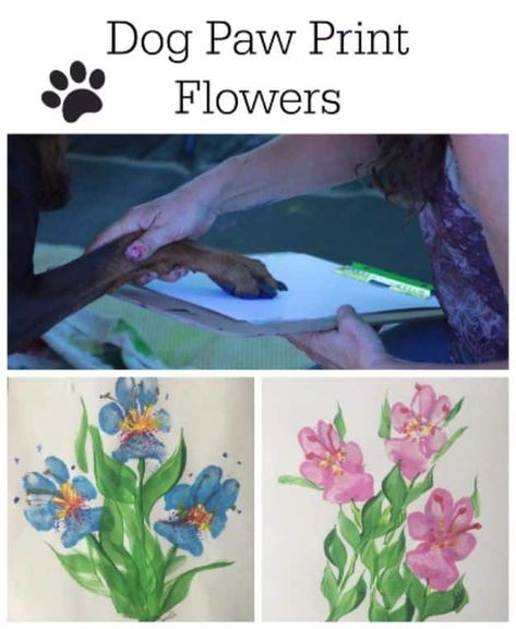 DIY Ideas With Dogs - Paw Print Flowers - Cute and Easy DIY Projects for Dog Lovers - Wall and Home Decor Projects, Things To Make and Sell on Etsy - Quick Gifts to Make for Friends Who Have Puppies and Doggies - Homemade No Sew Projects- Fun Jewelry, Cool Clothes and Accessories #dogs #crafts #diyideas Paw Print Flowers, Dog Paw Print Craft, Paw Print Crafts, Dog Paw Print Art, Paw Print Art, Paw Art, Dogs Diy Projects, Dog Paw Prints, Puppy Paw Prints