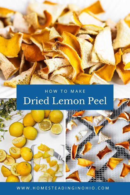 How to Make Dried Lemon Peel (Dehydrator, Oven, Air Fryer) Lemon Peel Uses, Dehydrated Lemon Peel, Lemon Peel Recipes, Dried Lemon Zest, Lemon Water Health Benefits, Lemon Water Before Bed, Lemon Peels, Storing Lemons, Dried Lemon Peel