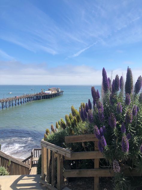 Capitola California, Capitola Beach, Beach Santa, California Dreamin', Monterey, Beach Day, California, Travel, Quick Saves