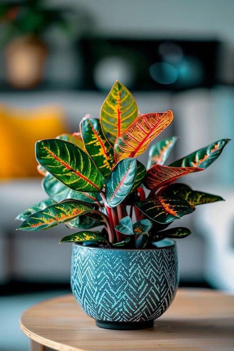 How To Prune Croton: Encouraging Healthy Growth Croton Plant Care, Croton Plant, Green Corner, Plant Goals, Backyard Balcony, Bohemian Coastal, Thanksgiving Theme, Plants Indoor, Plant Photography