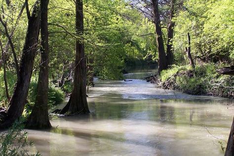 Medina River Medina River, Wagon Trails, Texas Vacations, South Padre Island, Hidden Places, Camping Area, Water Resources, Texas Travel, Road Trippin