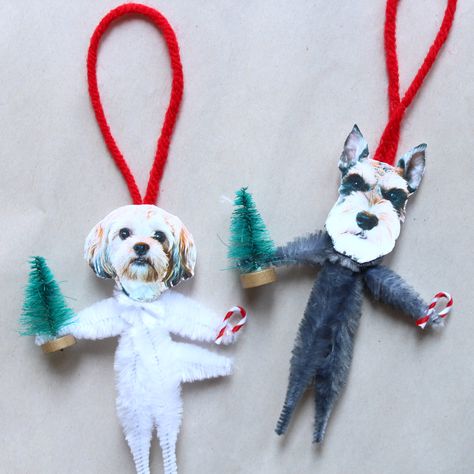 'Tis the season for Christmas carols, eggnog and trimming the tree - and any pup parent's home wouldn't be complete without a dog ornament! -- Make Your Own Hilarious DIY Dog Ornaments Diy Dog Ornaments, Winter Decorating, Diy Dog, Photo Ornaments, Dog Christmas, Dog Ornaments, Animal Ornament, Candy Canes, Diy Dog Stuff