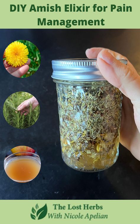 What To Do With Dried Herbs, Herb Remedies, Medicinal Recipes, Green Witchery, Herb Tinctures, Dandelion Benefits, Tinctures Recipes, Herbal Tea Garden, Natural Pain Killers