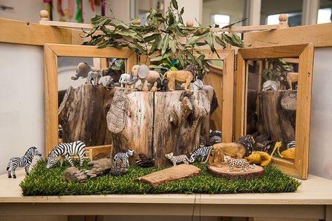 Love the natural display. Great for any animal or dinosaur interest area. Dinosaur Set Up Childcare, Reggio Activities, Preschool Set Up, Play Based Classroom, Childcare Rooms, Curiosity Approach, Reggio Inspired Classrooms, School Age Activities, Reggio Classroom