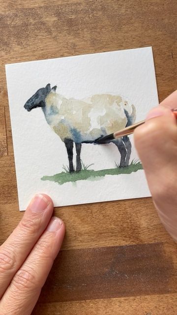 Sheep Drawing, Watercolor Barns, Sheep Paintings, Rooster Art, Watercolor Video, Diy Watercolor Painting, Watercolor Landscape Paintings, Watercolor Art Lessons, Ffa