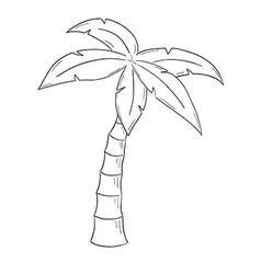 Pom Tree Drawing, Palm Tree Stencil, Palm Tree Outline, Tree Doodles, Small Easy Drawings, Palm Tree Sketch, Tree Drawing Simple, Drawing Sunset, Palm Tree Drawing