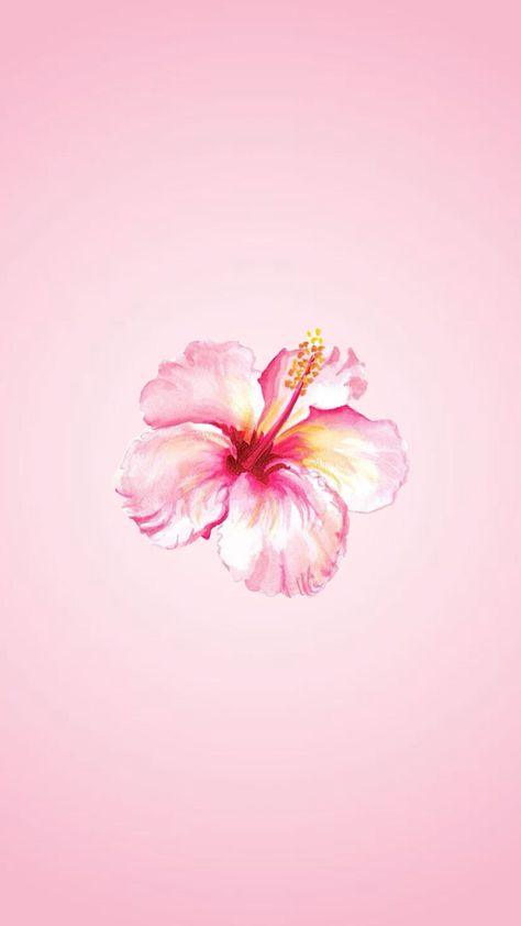 #pink #tropical #tropicalflower #pastel #lightpink #plain #wallpaper #aesthetic #widget Wallpaper Aesthetic Widget, Hibiscus Flower Wallpaper Aesthetic, Desktop Wallpaper Summer, Pink Flower Wallpaper, Beachy Wallpaper, Pink Wallpaper Laptop, Pastel Pink Wallpaper, Pink Wallpaper Ipad, Aesthetic Widget