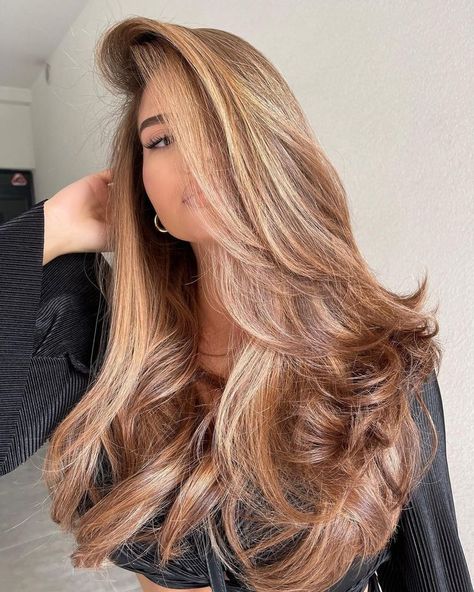 💞 💓 💗 💖 Brown Hair Styles, Honey Brown Hair Color, Brown Hair Inspiration, Brown Hair Shades, Honey Brown Hair, Dreamy Aesthetic, Hair Color Caramel, Long Hair Pictures, Spring Hair Color