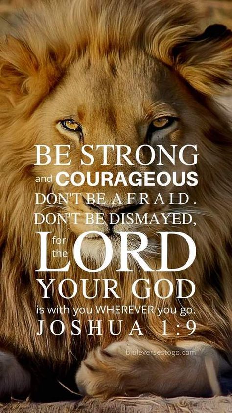 Lion Bible Verse Wallpaper – Bible Verses To Go Lion Bible Verse, Verses About Strength, Scripture Wallpaper, Lion Quotes, Christian Wallpapers, Bible Verse Background, Bible Verses About Strength, Quotes Bible, Powerful Bible Verses