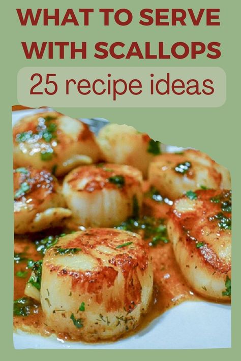 Side Dishes For Scallops, Shrimp And Scallop Recipes, Scallop Recipe, Beer Sauce, Butter Beer, Pan Seared Scallops, Seared Scallops, Scallop Recipes, Scallops Seared