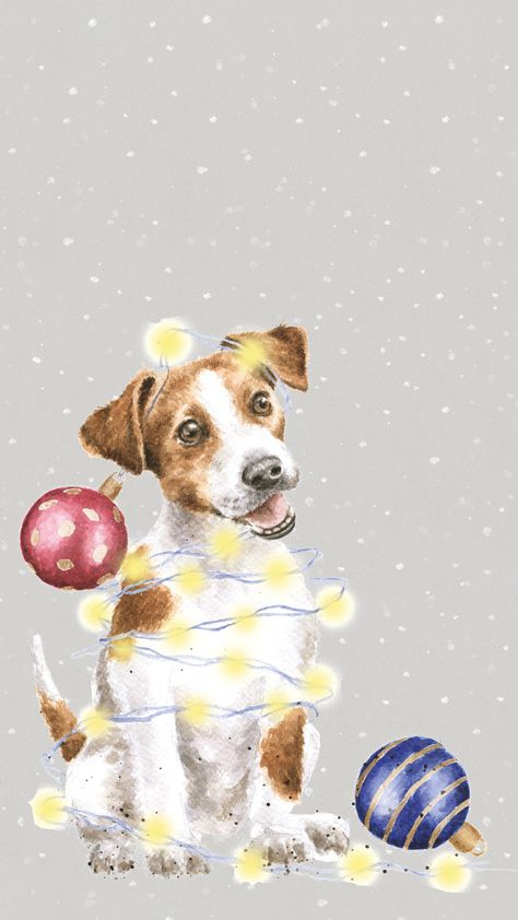 Jack Russell Christmas, Chien Jack Russel, Merry Christmas Dog, Scene Drawing, Cute Christmas Wallpaper, Christmas Phone Wallpaper, Christmas Card Art, Jack Russel, Christmas Card Template