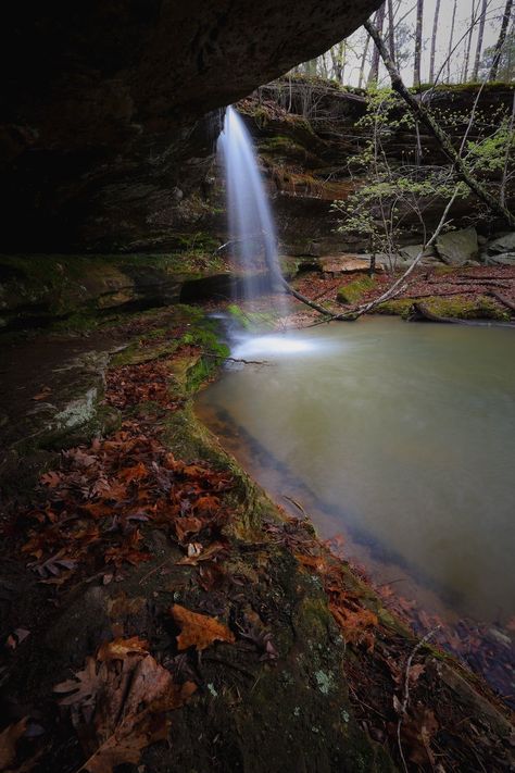 This Unrivaled Canyon Hike in Missouri Everyone Should Take At Least Once – Mainstream Adventures Mainstream Adventures, Travel Missouri, Missouri Hiking, Birthday Trip, Motorcycle Travel, Vascular Plant, Beautiful Sites, Eat And Drink, The Grand Canyon