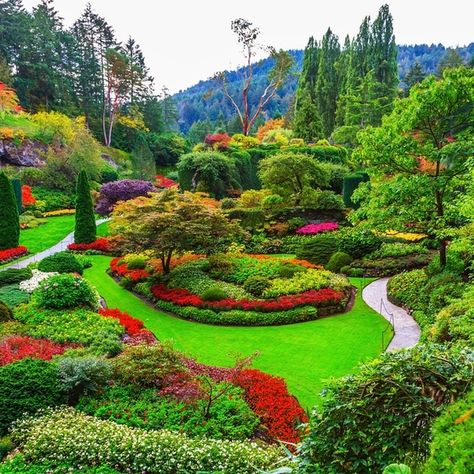 20+ Stunning Nature Tunnels That Are Like Walking Through a Fairy Tale Brooklyn Botanical Garden, Butchart Gardens, Famous Gardens, Native Plant Gardening, Lawn Service, Sunken Garden, Victorian Garden, English Country Gardens, Most Beautiful Gardens