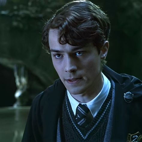 Young Tom Riddle, Tom Hughes, The Dark Lord, Beautiful Snakes, Hogwarts Aesthetic, Fred Weasley, Harry Potter Actors, Slytherin Aesthetic, Lord Voldemort