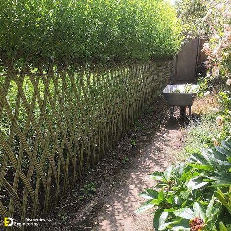 Amazing Nature Fence Ideas With Willow | Engineering Discoveries Living Willow Fence, Cerca Natural, Willow Fence, Willow Garden, Living Willow, Natural Fence, Living Fence, Garden Wood, Garden Fencing