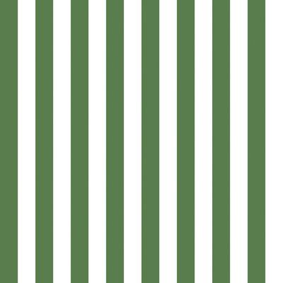 Green Icing, Geometric Wallpaper Design, Stripe Wallpaper, Decor Pillows, Wallpaper Direct, Graphic Wallpaper, Vintage Objects, Green Bathroom, Small Budget