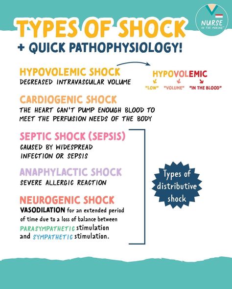 Shock Nursing, Nursing Shock Notes, Types Of Shock Cheat Sheet, Types Of Shock Nursing, Anaphylactic Shock Nursing, Cardiogenic Shock Nursing, Kaplan Nursing, Types Of Shock, Nursing School Organization