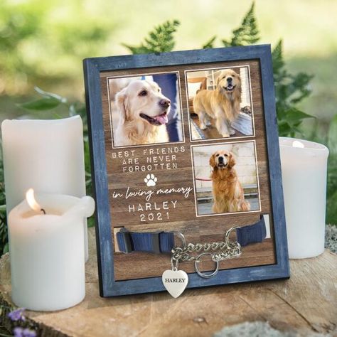 Personalized Gift for Pet Lovers, Pet Bereavement Gift, Pet memorial gift, Christmas gift ideas, home decoration, wall decoration ❤️Pets are family and it’s heartbreaking when they cross the rainbow bridge. And dog’s, cat's collars in a memory box for years and we thought it was time to celebrate their lives and showcase their memories in a better way, so we created these pet memorial signs to showcase each of their individual collars, and be able to see them every day. These beautiful wooden signs are a sweet reminder that although they are gone, they are not forgotten. Each sign is individually handmade to celebrate your beloved pet's life and keep their memory alive.Made of natural wood and printed to the best standards available.Size: 9 x 9 in 9 x 11 in Hole cutout size: 1.3cm x 3cm (W Diy Dog Memorial Shadow Box Ideas, Pet Shadow Box Memorial, Diy Dog Memorial Ideas, Photo Crafts Diy Gift Ideas, Dog In Memory, Dog Collar Memorial, Dog Memorial Ideas, Memorial Home Decor, Pet Memorial Ideas Dogs