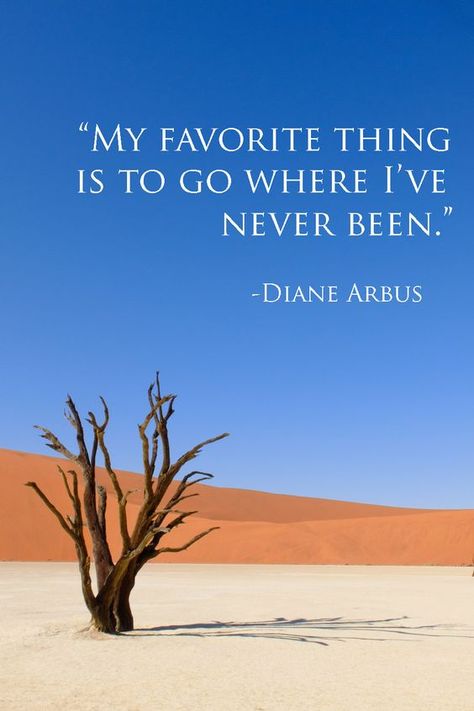 Desert Vibes Quotes, Desert Quotes, Desert Quote, Travel Namibia, Life Quotes Travel, Life Mantra, Sand Quotes, Aviation Quotes, Travel Wisdom