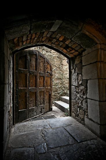 Dungeon Door, Large Wooden Door, Gothic Door, Wooden Castle, Beauty People, Cool Doors, Door Open, Stone Walls, Open Door