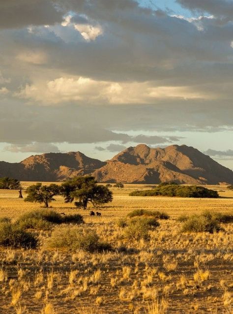 Savana Landscape, Africa Landscape Photography, Savannah Desert, Savanna Biome, Skeleton Coast, Under Canvas, African Plains, Best Countries To Visit, Wild Forest