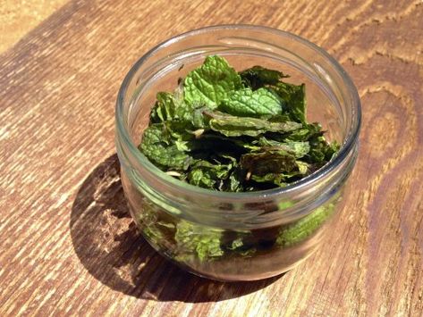 Make Peppermint Oil, Olive Oil Substitute, Peppermint Oil Uses, Peppermint Oil Benefits, Peppermint Tea Benefits, Homemade Goods, Peppermint Plants, Health Ideas, Homemade Beauty