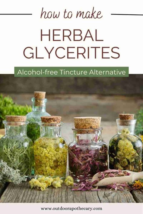 Herbal Glycerites, Growing Herbs Inside, Herbal Medicine Cabinet, Tinctures Recipes, Herbal Medicine Recipes, Diy Herbal Remedies, Herbal Remedies Recipes, Herbal Tinctures, Herbal Recipes