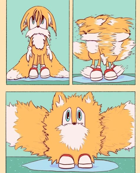 Miles Tails Prower, Slow Internet, On Tumblr, Sonic, Internet, Animals, Instagram