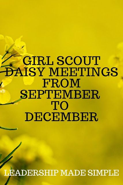 Daisy Leader Ideas, Daisy Scouts Activities, October Girl Scout Meeting Ideas, Daisy Girl Scouts First Meeting, Daisy Troop Meeting Ideas, Girl Scout Daisy Petals Activities, Daisy Meeting Ideas, Daisy Scout Activities, Girl Scouts Daisy Activities