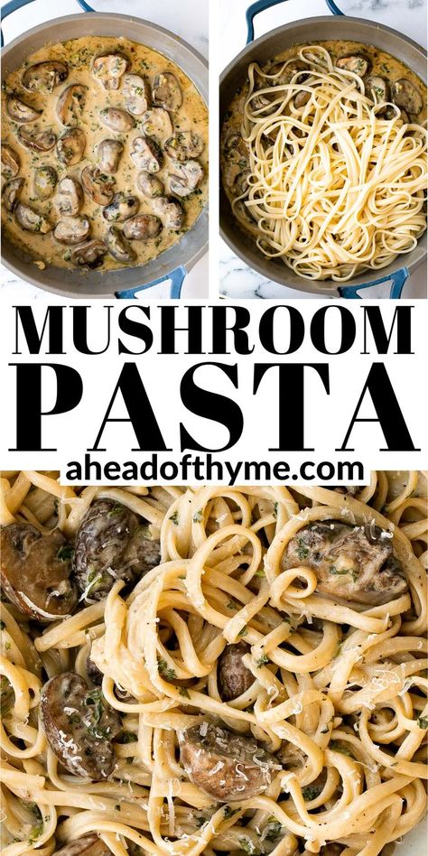 Pasta Mushroom Recipes, Pasta Recipe Creamy, Mushroom Recipes Pasta, Creamy Parmesan Sauce, Mushroom Cream Sauces, Creamy Mushroom Pasta, Mushroom Dish, Creamy Parmesan, Parmesan Sauce