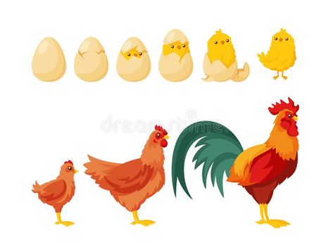 Chick Hatching From Egg, Hen Or Rooster, Hatching Eggs, Pin Image, About Nature, Icon Set, Hen, Rooster, Stock Vector