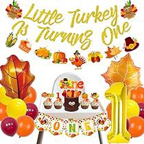 Thanksgiving 1st Birthday, Autumn First Birthday, Pink Birthday Party Decorations, Fall Party Decorations, Girls Birthday Party Decorations, Spiderman Birthday Party, One Banner, Birthday Photo Banner, 1st Birthday Party Decorations