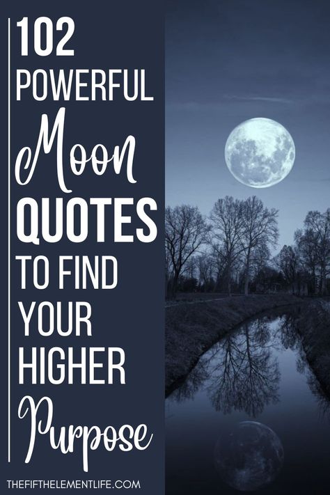 Quotes About The Moon Inspirational, Moon Motivational Quotes, Witchy Moon Quotes, Full Moon Quotes Magic, Sayings About The Moon, Full Moon Quotes Inspiration, Moon Star Quotes, Harvest Moon Quotes, Full Moon Quotes Feelings