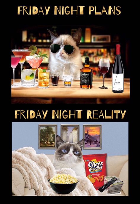 Friday Night Plans vs Friday Night Reality Friday Night Plans Funny, Friday Night Humor, Friday Night Plans, Cat Rocks, Friday Cat, Daily Wishes, Hate Christmas, Yoda Funny, Garfield Cat